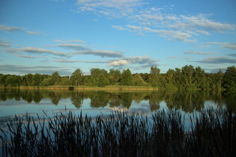 Sentier des Marais