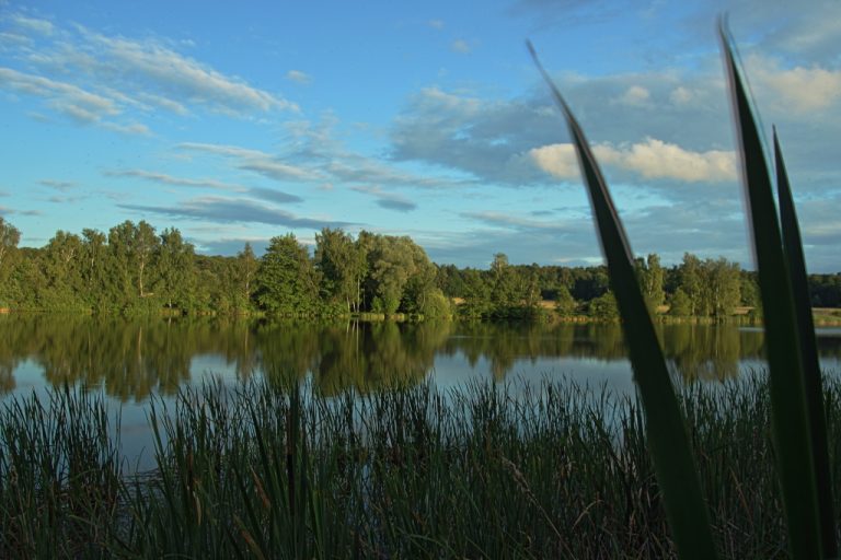 Sentier des Marais