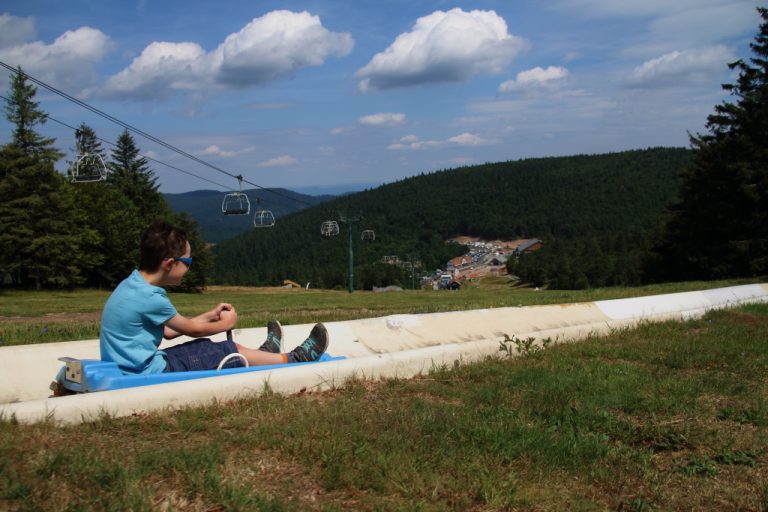 Luge d’été (Vosges)