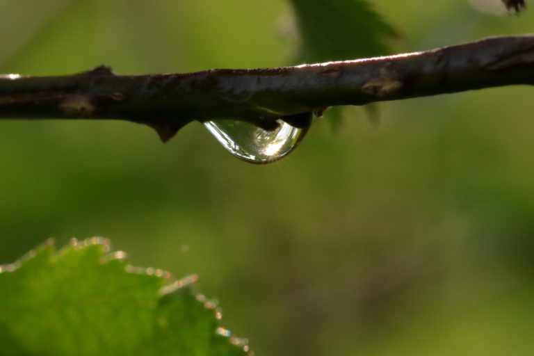 Goutte d’eau