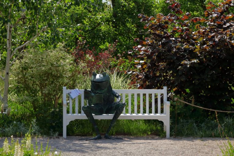 Le banc des intellectuels