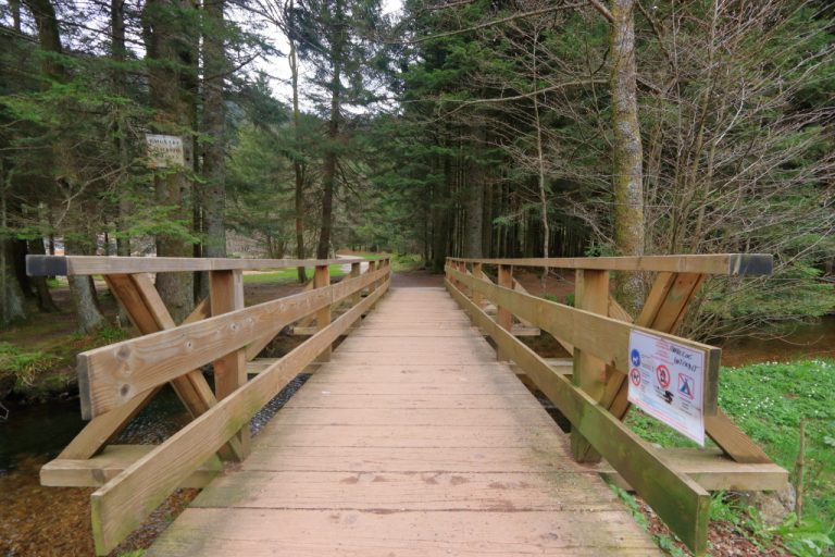 Petit pont de bois