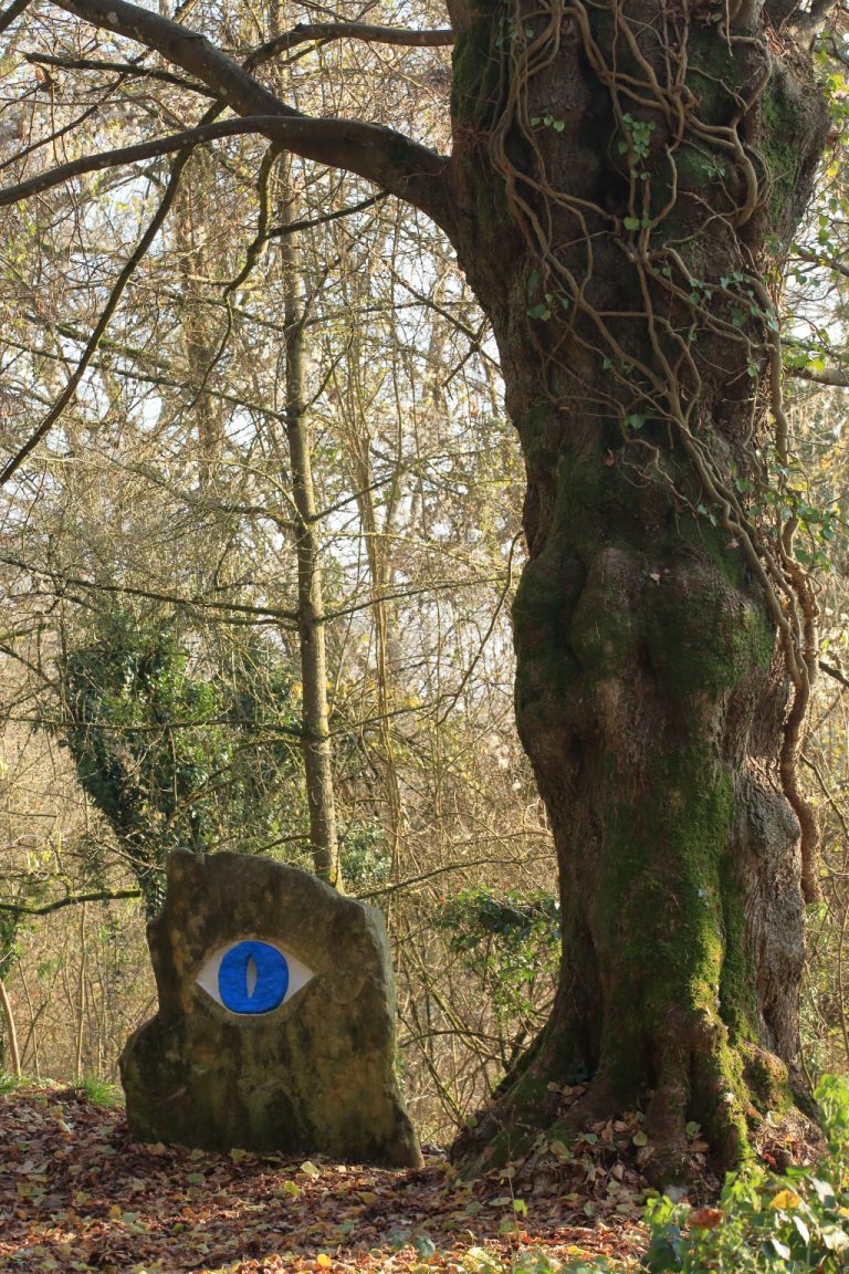 L’oeil dans la forêt